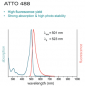 Preview: ATTO490LS-Actin (alpha-Actin skeletal muscle, rabbit) - 2x100µg