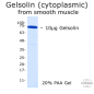 Preview: Gelsolin (cytoplasmic) - 250 µg