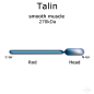 Preview: Talin (smooth muscle, turkey) - 1.0 mg