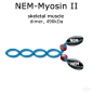 Preview: NEM-Myosin II (rabbit, m. psoas) - 1x200 µg